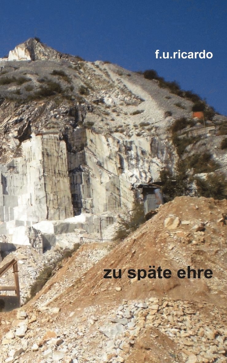 F U Ricardo, F. U. Ricardo, F.U. Ricardo - Zu späte Ehre, Häftad