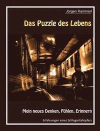 bokomslag Das Puzzle des Lebens - Band 2