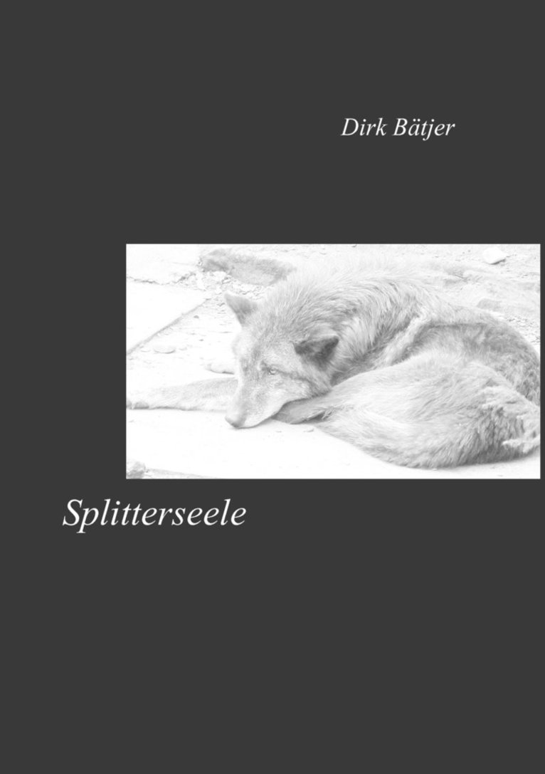 Splitterseele 1