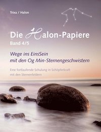 bokomslag Die Halon-Papiere, Band 4/5