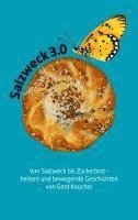 bokomslag Salzweck 3.0