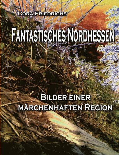 bokomslag Fantastisches Nordhessen