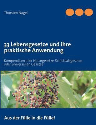 bokomslag 33 Lebensgesetze und ihre praktische Anwendung