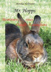 bokomslag Mr. Hopps