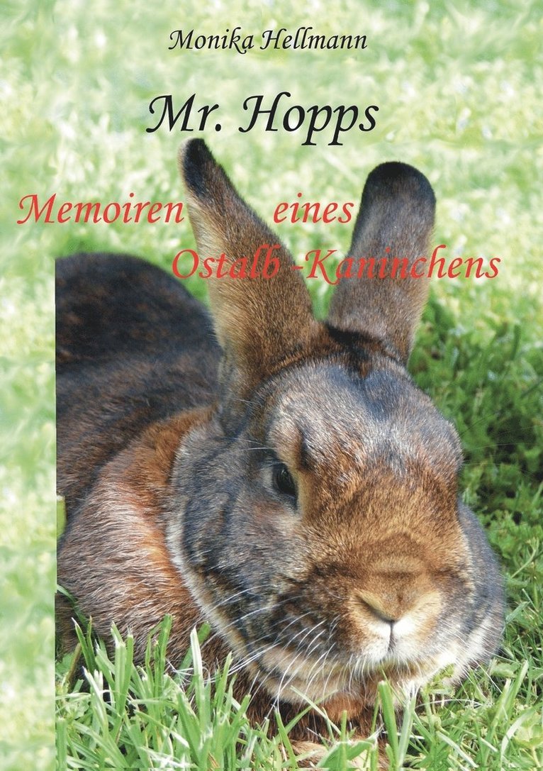 Mr. Hopps 1