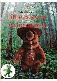 bokomslag Little Beavers Geheimnisse