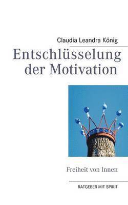 bokomslag Entschlsselung der Motivation