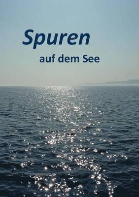 Spuren auf dem See 1