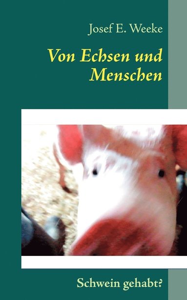 bokomslag Von Echsen und Menschen