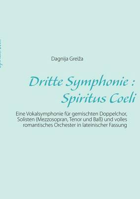 bokomslag Dritte Symphonie