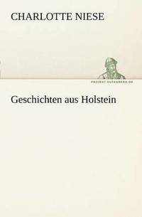 bokomslag Geschichten Aus Holstein