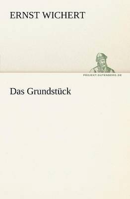 bokomslag Grundstuck