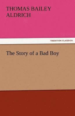 Story of a Bad Boy