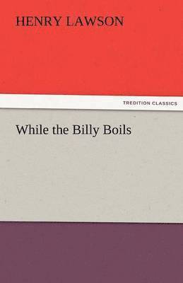 bokomslag While the Billy Boils
