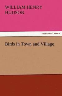 bokomslag Birds in Town and Village