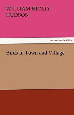 Birds in Town and Village 1