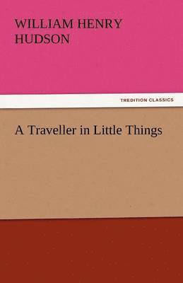 bokomslag A Traveller in Little Things