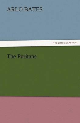 bokomslag The Puritans