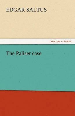 bokomslag The Paliser Case