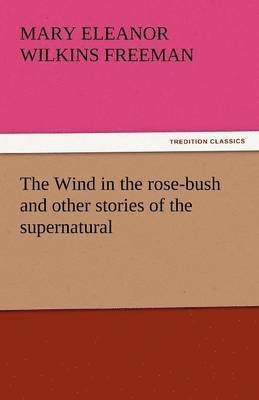 bokomslag Wind in the Rose-Bush and Other Stories of the Supernatural