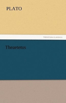 bokomslag Theaetetus