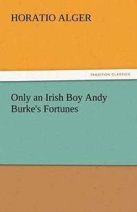 bokomslag Only an Irish Boy Andy Burke's Fortunes