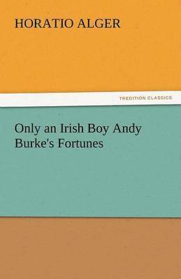 Only an Irish Boy Andy Burke's Fortunes 1