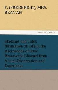 bokomslag Sketches and Tales Illustrative of Life in the Backwoods of New Brunswick Gleaned from Actual Observation and Experience
