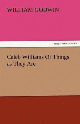 bokomslag Caleb Williams or Things as They Are