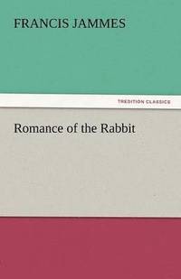 bokomslag Romance of the Rabbit