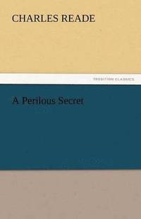 bokomslag Perilous Secret