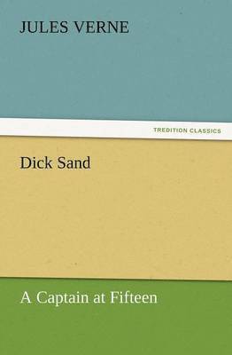 bokomslag Dick Sand