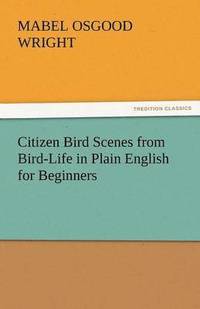 bokomslag Citizen Bird Scenes from Bird-Life in Plain English for Beginners