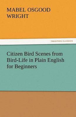 Citizen Bird Scenes from Bird-Life in Plain English for Beginners 1