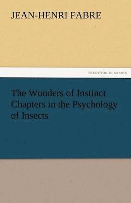 bokomslag Wonders of Instinct Chapters in the Psychology of Insects
