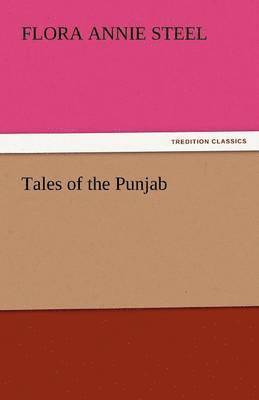 bokomslag Tales of the Punjab