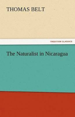 Naturalist in Nicaragua