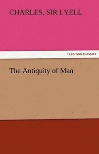 bokomslag Antiquity of Man