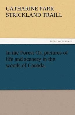 In the Forest Or, Pictures of Life and Scenery in the Woods of Canada 1