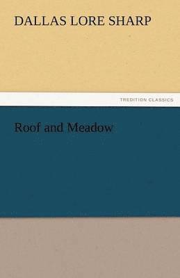 Roof and Meadow 1