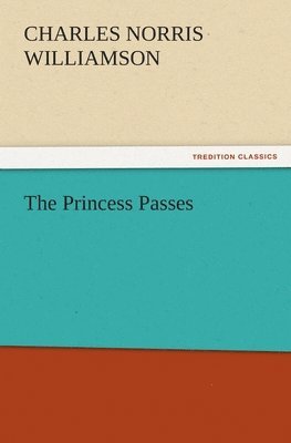 bokomslag Princess Passes