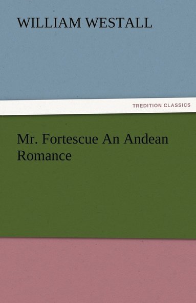 bokomslag Mr. Fortescue An Andean Romance