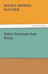 bokomslag Debris Selections from Poems