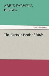 bokomslag Curious Book of Birds