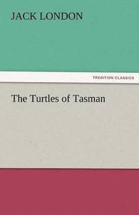 bokomslag Turtles of Tasman