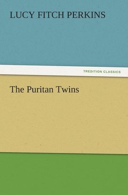 bokomslag Puritan Twins