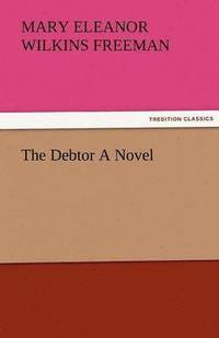 bokomslag Debtor a Novel
