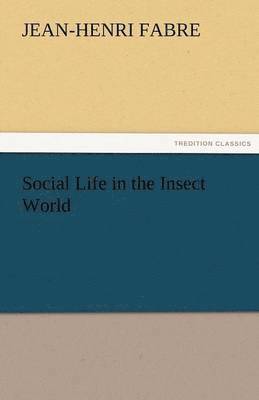 Social Life in the Insect World