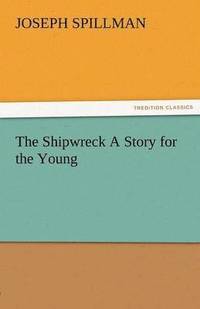 bokomslag Shipwreck a Story for the Young