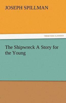 bokomslag Shipwreck a Story for the Young